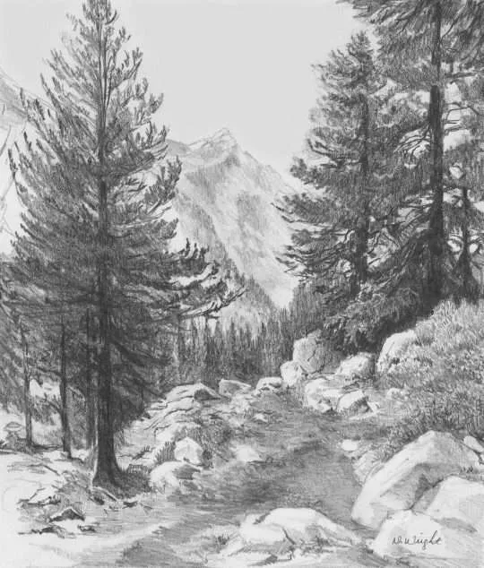 Student graphite sketching practice study