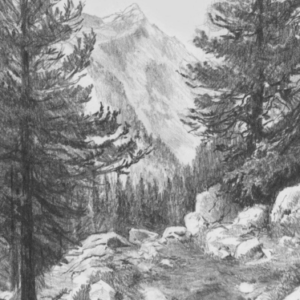 Sketching Course - Unleashing Your Artistic Potential from Basics to Brilliance